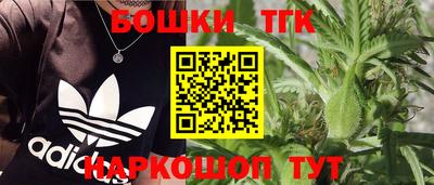 спиды Новозыбков