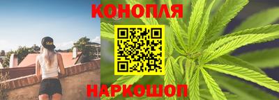 спиды Новозыбков