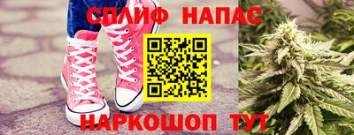 спиды Новозыбков