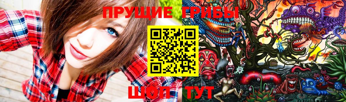 купить   Вход с VPN  Мариинск  Псилоцибиновые грибы GOLDEN TEACHER 